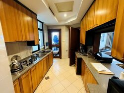 Valley Park (D10), Condominium #505175771